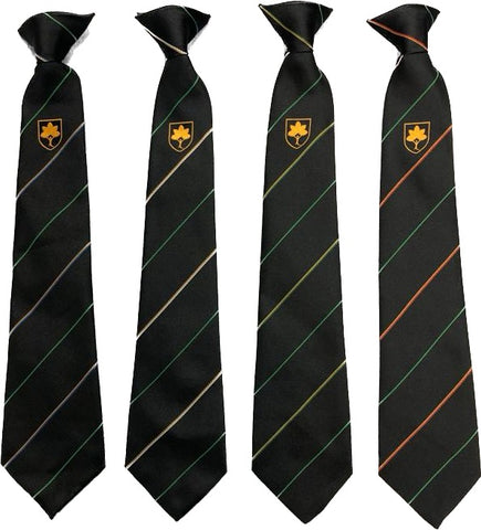 Light Hall School Tie - KS4