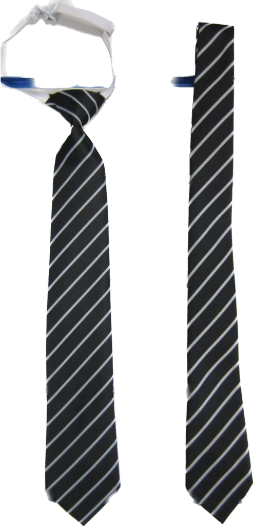 St. Bernardette's Primary School Tie