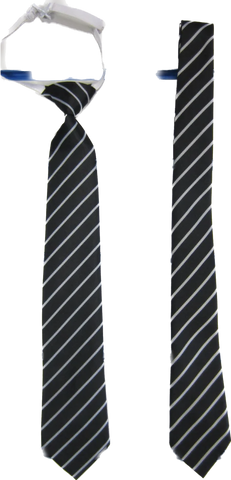 St. Bernardette's Primary School Tie