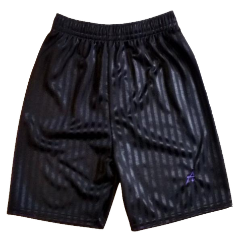 Alderbrook Secondary School PE Shorts