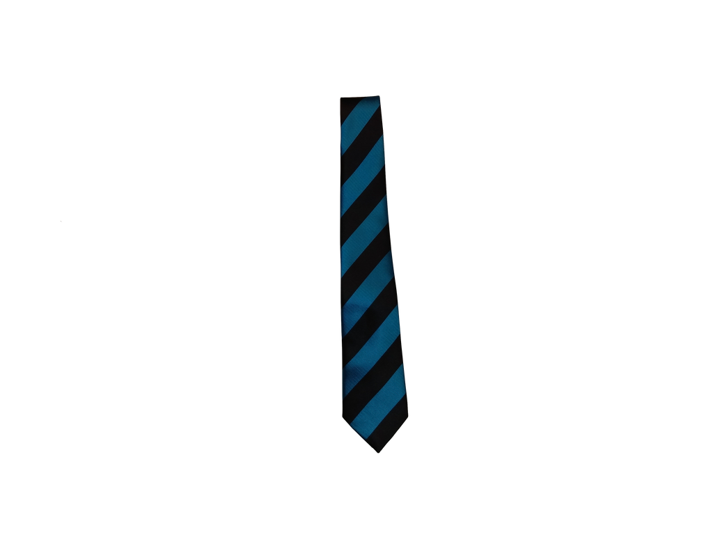 Ninestiles Secondary School  Tie