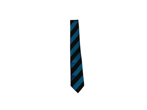 Ninestiles Secondary School  Tie