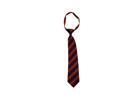 St. Peter's Secondary School Tie