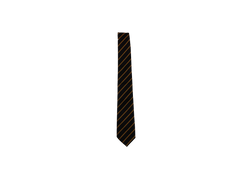 Lode Heath Secondary School Tie