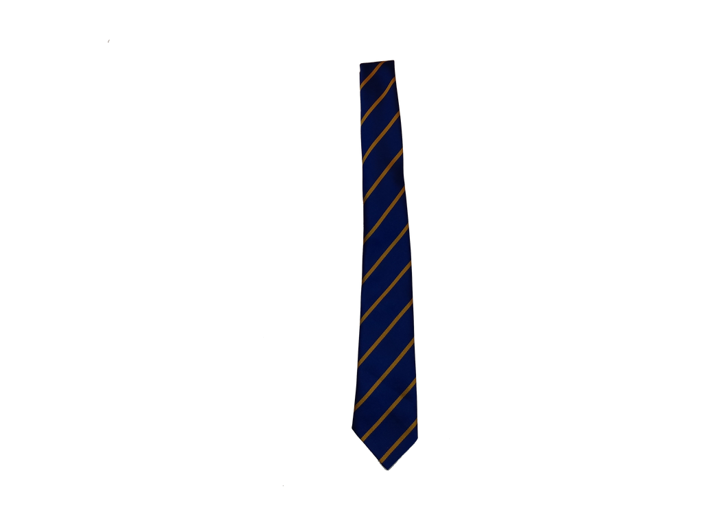Our Lady of Wayside School Tie